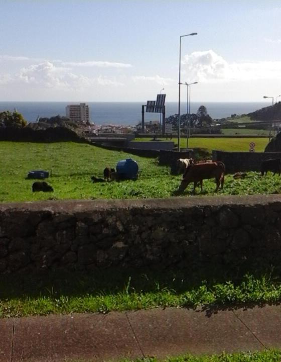 Ocean View Flat Lägenhet Ponta Delgada Exteriör bild